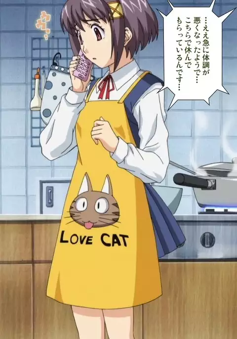 Kanojo ga Mimai ni Konai Wake Special Complete Ban