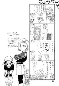 (C51) [Chirigami Goya, Fusuma go Ten (Shoji Hariko)] ZZZ (DRAGON BALL)