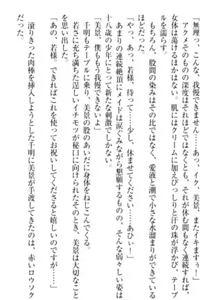 年上メイドの新婚日記