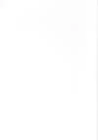 [BIG BOSS (Hontai Bai)] Mitsune SP (Love Hina)