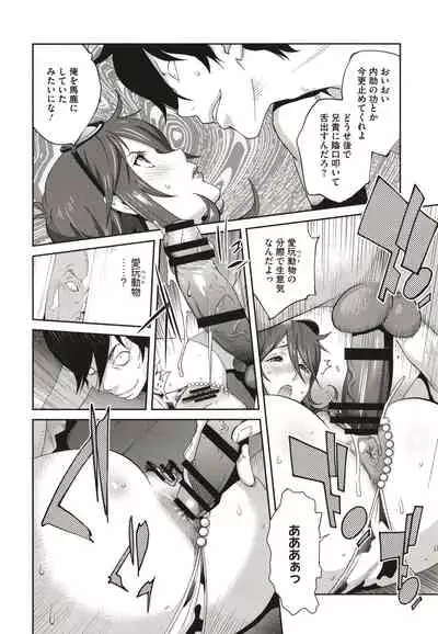 Nyuugyaku no Rudbeckia