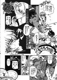 [Hotel California (Natsuno Suika)] Tenjou Tenka 2 (Revolutionary Girl Utena)