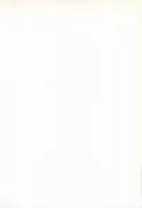 [Buzz Buzz (Himenogi Apo)] Kousoku Tsuushin Release Candidate 2 [Digital]