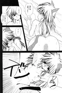 High School Hakusho (Sailor Moon anthology)