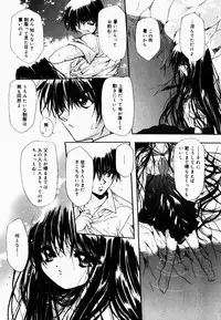 [Hayase Hashiba] Good Luck Charm