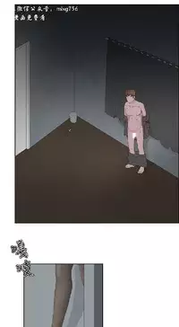 私生，爱到疯狂 完结