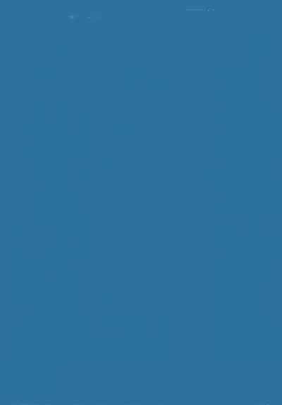 Tamonzen Zigoku Rounin