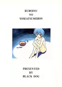 (C50) [BLACK DOG (Kuroinu Juu)] Echoes (Various) [English]