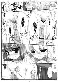 (Reitaisai 10) [D.N.A.Lab. (Miyasu Risa)] SEREVENT (Touhou Project)