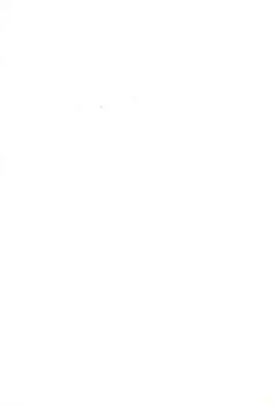 (C68) [Tenny Le Tai (Various)] Hironeko