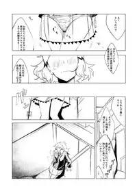 [TATESIMA. (Yokosima)] Symphogear no Erohon (Senki Zesshou Symphogear) [Digital]