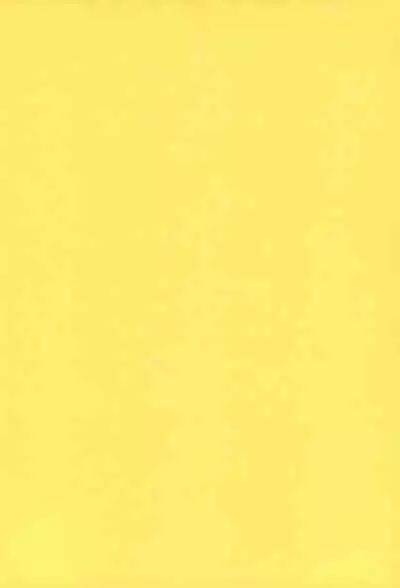 Funsen! Gunvarion Version up.001