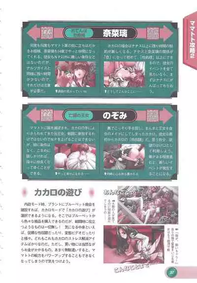 Official Alicesoft Full Completion Guide 2