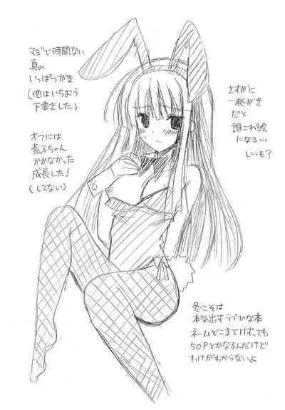 2011 Summer Omake-bon