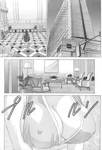 (C62) [D-LOVERS (Nishimaki Tohru)] Mai -Innyuuden- Dainigou (King of Fighters)