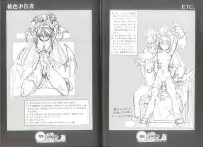 桃色申告書 ver.MILLENNIUM FALCON