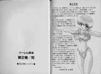 [Katsu Aki] Harem Kakumei 2