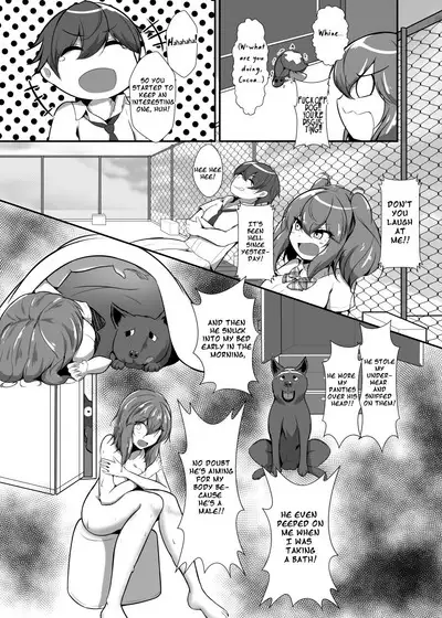 Stray Dog Fiance Volume 1