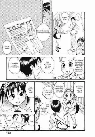 Big Breasts Flat Theory