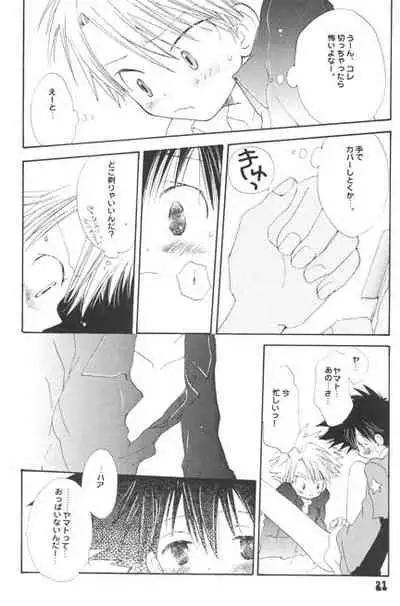 [PIKAPIKA (Takahashi Mako)] Hoshizora Touring Express (Digimon Adventure)