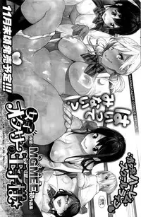 COMIC Shitsurakuten 2016-12