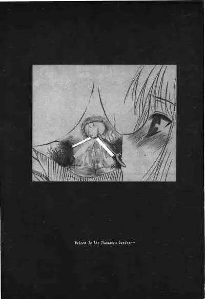 [Typemoon] Tsukihime 3 [Chinese]