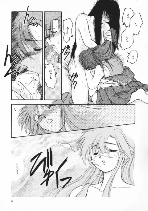 Chou Sairoku PINKISH COLLECTION