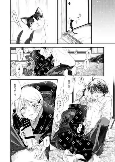 Hako no Naka no Neko Soushuuhen