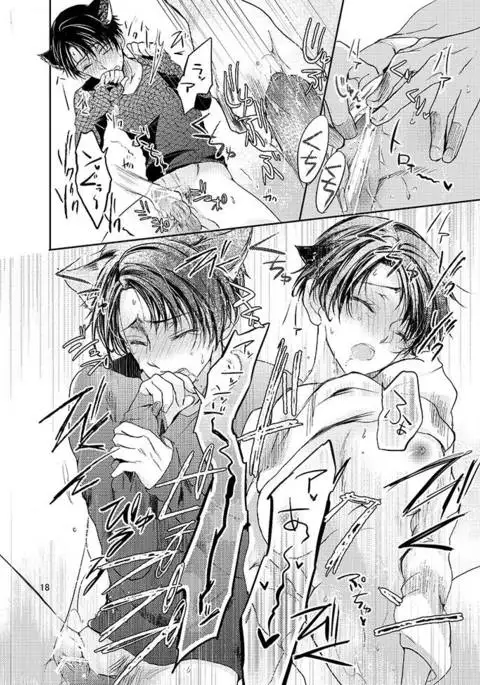 Futago neko hiroimashita