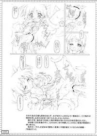 (COMIC1☆3) [Testa Kitchen (Testa)] nanO RAISER (Mahou Shoujo Lyrical Nanoha)