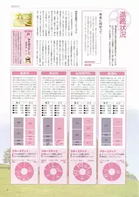 Canvas Visual Fan Book