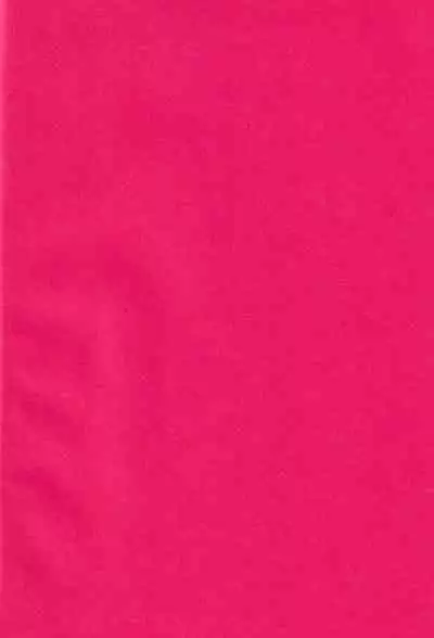 Ore no Unmei no Shikkoukan-sama