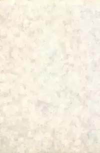 [Ginkamen] Anoko wa Million-Volt!