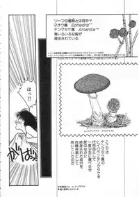 [Tonami Muka] Shoujo no Tekiou to Housan