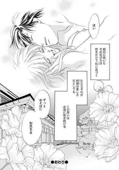 [Omi Shinano] Imouto Mekake ~Onii-sama, Mou Yurushite~ 4 [Digital]