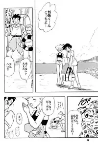 (C51) [Chirigami Goya, Fusuma go Ten (Shoji Hariko)] ZZZ (DRAGON BALL)