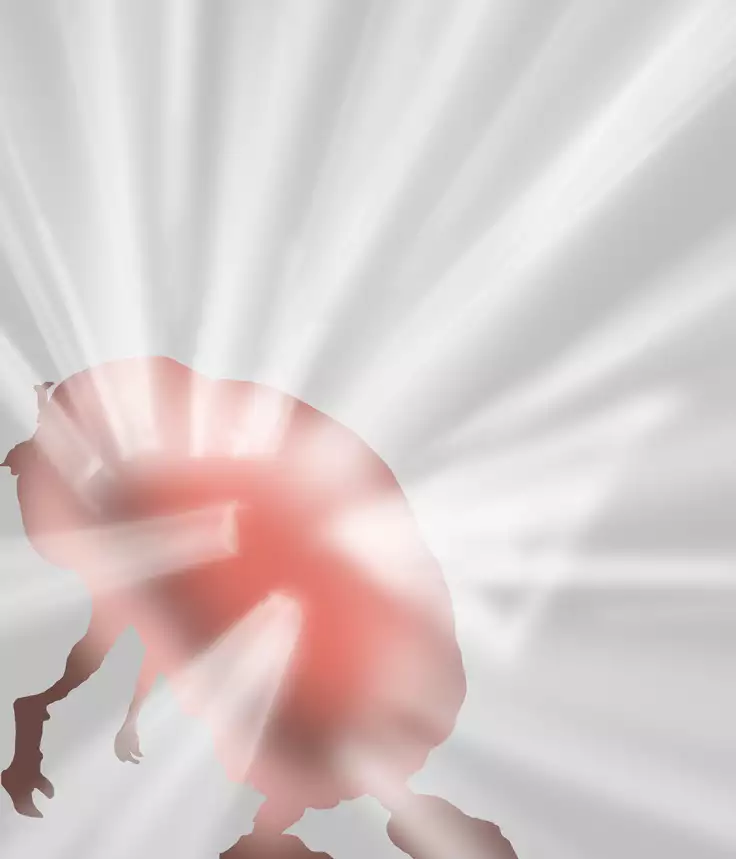 Saint · Woman Mirage FILE 4 "Rampant Scythe Bubugabub"