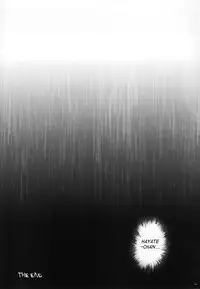 (C79) [Cyclone (Izumi, Reizei)] F850X2 (Mahou Shoujo Lyrical Nanoha) [English] [SaHa]