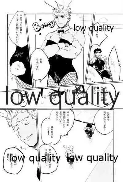 (C97) [Karmin (Hozumi)] Usagi - BUNNY (Fate/Grand Order)