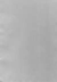 [CROCODILE-Ave. (Gangstar Yoshio)] Megamix G Kitsune (Gravitation)