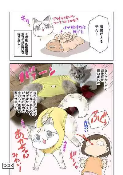 COMIC Ananga Ranga Vol. 75