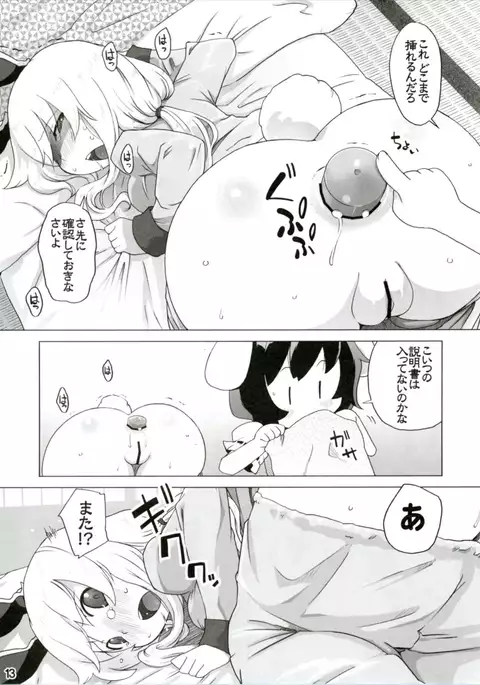 Kazehiki Usagi to Miru Usagi.