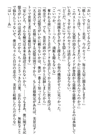 年上メイドの新婚日記