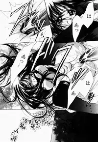 [Hayase Hashiba] Good Luck Charm