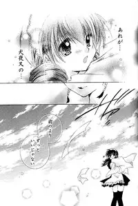 (C67) [Sakurakan (Seriou Sakura)] Tobikkiri no Himitsu 2 (Inuyasha)