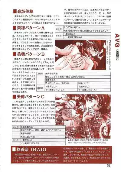 PC Bishoujo Software Strategy Book: Strategy King 2