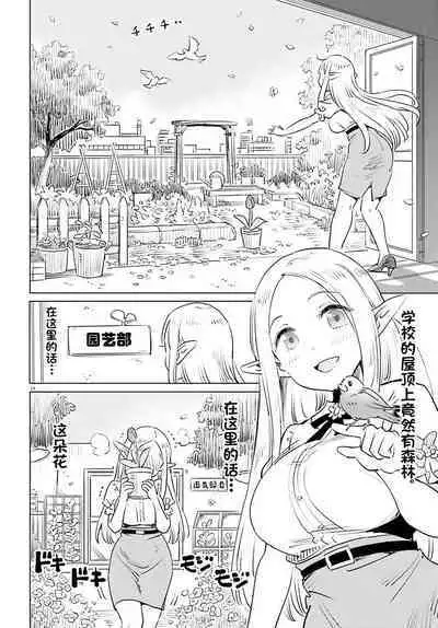 Where is the elf teacher's toilet?