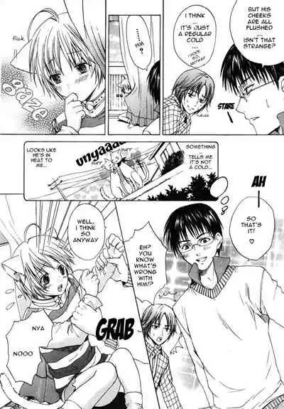 [Anthology] Puchi D VOL. 4 Kemonomimi [English] [DokiDoki]