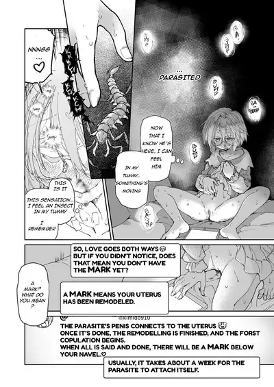 Stocking to Kiseichuu | Stocking & Parasites