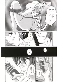 [Kumasaka Ramao] Injutsu Shinansho Sangou